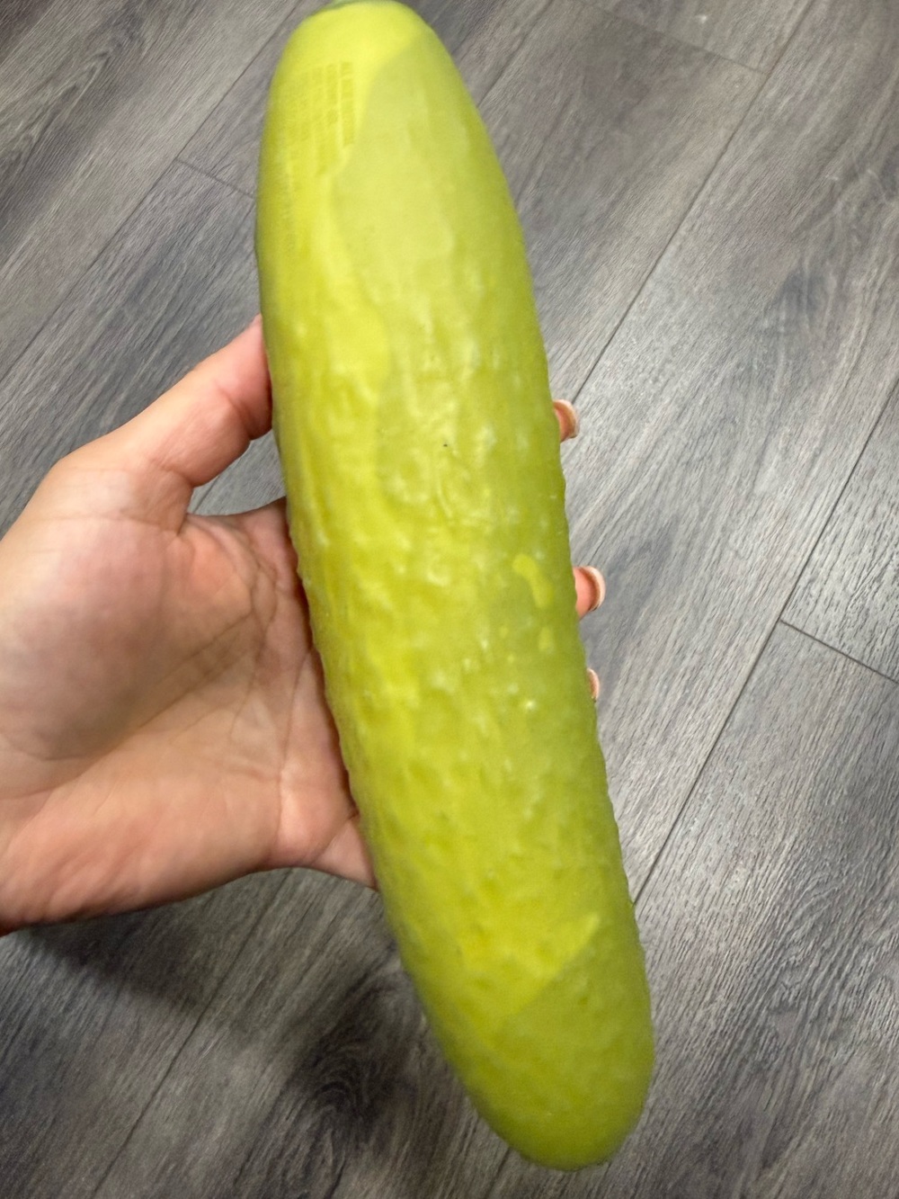Squeezy Pickle Toy - Green